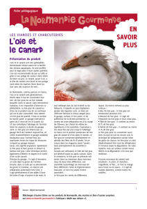 L`oie et le canard - La Normandie Gourmande